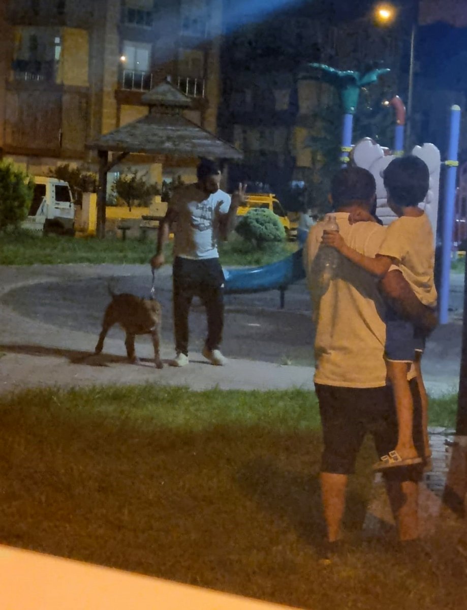 Antalya’da bir kadın, 2 pitbull köpeğinin saldırısına uğradı #3