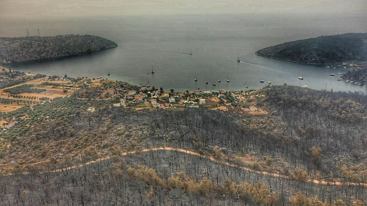 Bodrum ve Milas ta yanan alanlar drone ile havadan görüntülendi #1