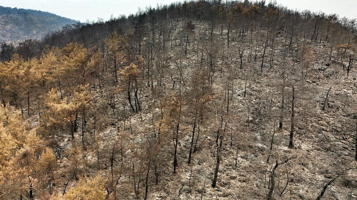 Bodrum ve Milas ta yanan alanlar drone ile havadan görüntülendi #9