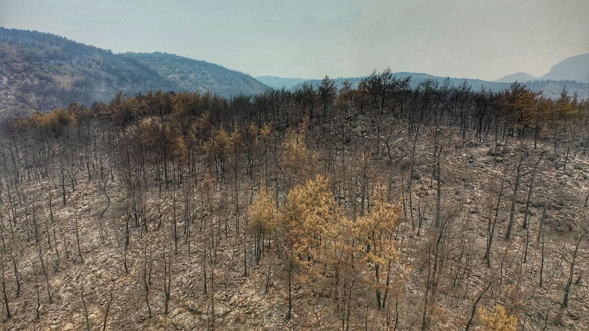 Bodrum ve Milas ta yanan alanlar drone ile havadan görüntülendi #10