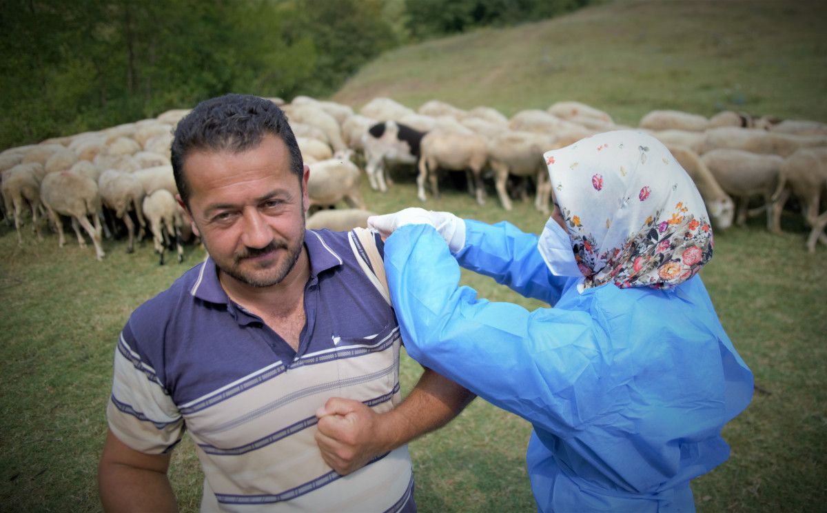 Bursa da çobanlar, yaylada koyun otlatırken aşılarını oldu #1