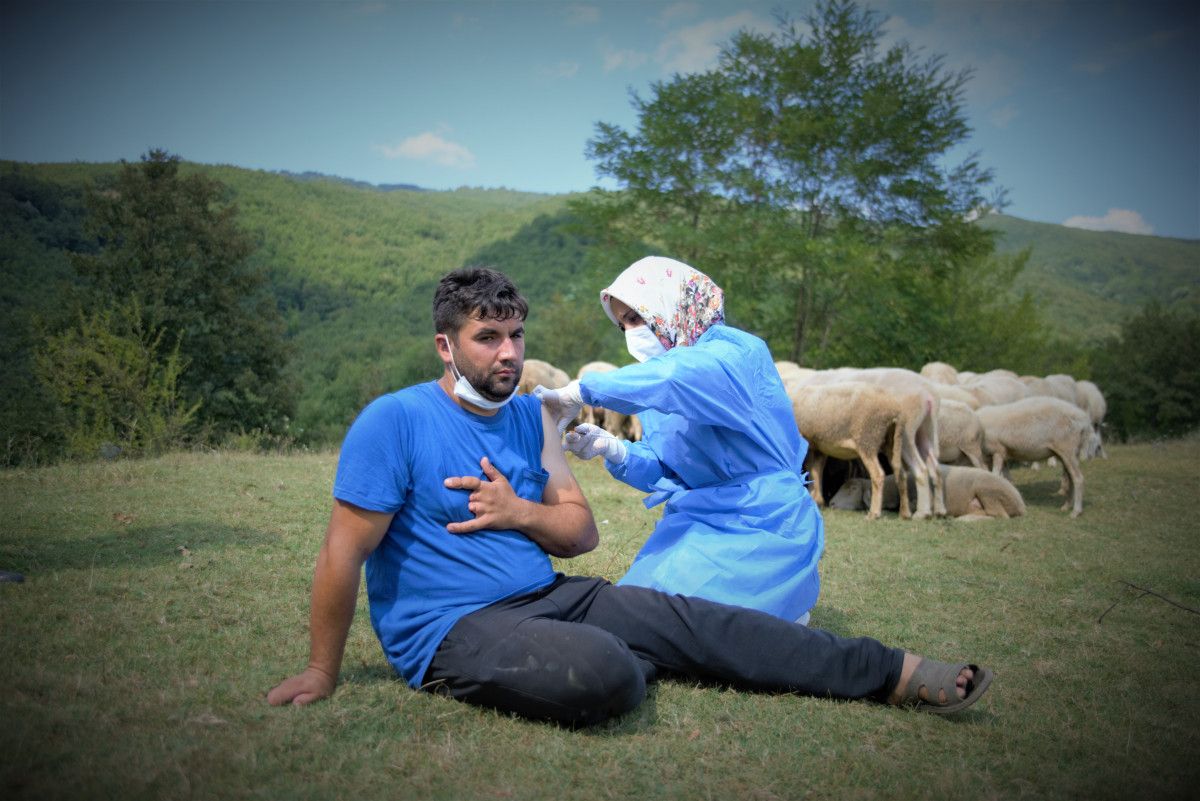 Bursa da çobanlar, yaylada koyun otlatırken aşılarını oldu #2