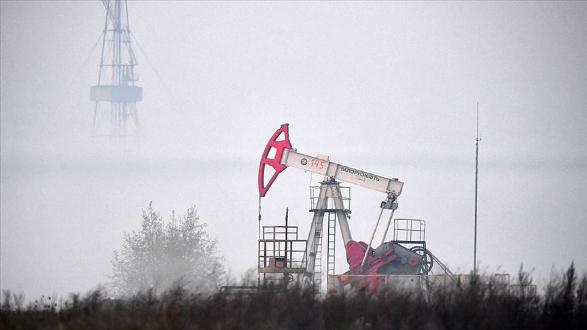 Rusya nın petrol ihracatı gelirleri artışa geçti #1