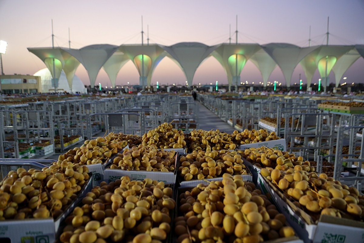 Suudi Arabistan da hurma pazarı kuruldu #3