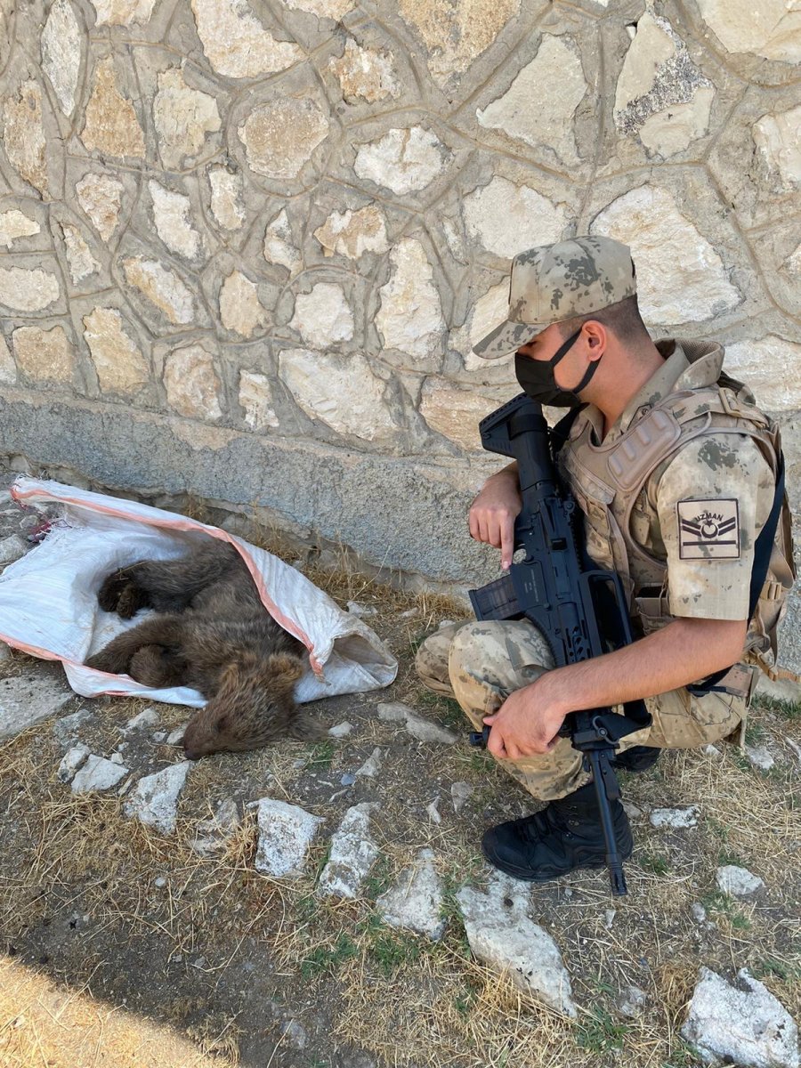 Tunceli’de jandarma ekipleri, yavru ayıya elleri ile su içirdi #2